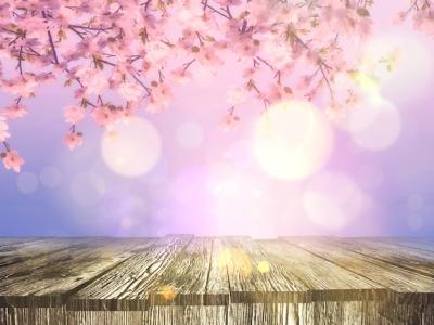 Old Wooden Table with Cherry Blossom Background – Free Download