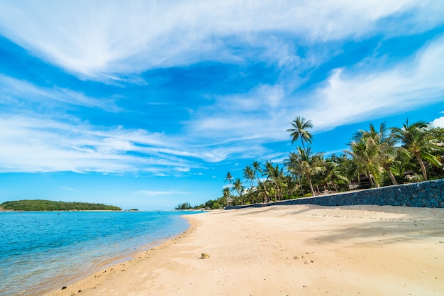 Beautiful Tropical Beach with Coconut Palm Trees and Blue Sky – Free Stock Photo for Download