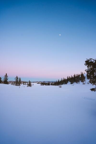 Stunning Snow-Covered Forest with Fir Trees in Norway – Free Download