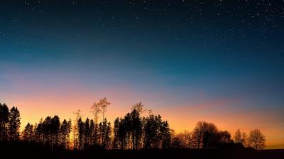 Stunning Silhouette Photography of Trees Against a Blue Sky at Golden Hour – Free Download