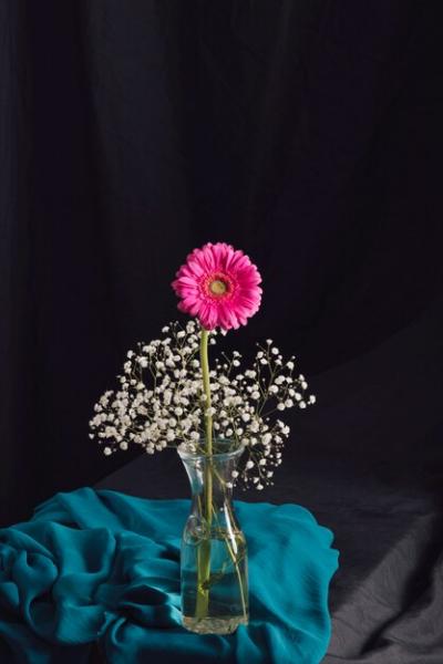 Pink Flower in Vase with Bloom Twigs and Blue Textile – Free Download