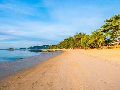 Beautiful Tropical Beach and Sea with Coconut Palm Tree – Free Download