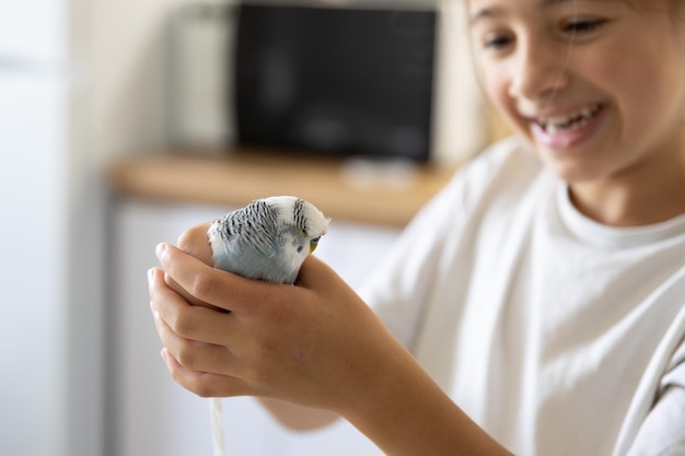 A Beautiful Little Girl Playing with a White and Blue Budgie – Free Stock Photo for Download