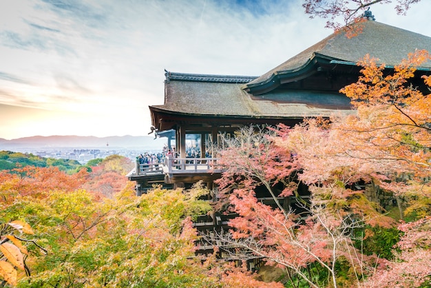 Stunning Kiyomizu-dera Temple Architecture in Kyoto, Japan – Free Download