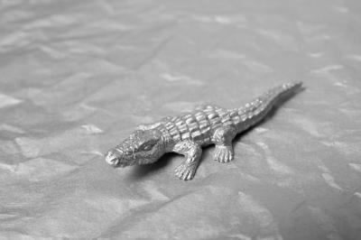 Silver Aesthetic Wallpaper Featuring Alligator – Free Download