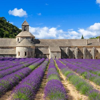 Abbey of Senanque Surrounded by Blooming Lavender Flowers – Free Stock Photo for Download