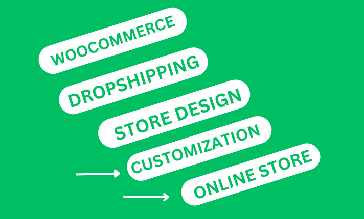 I Will Build a Alidropship AliExpress WooCommerce Dropshipping Store with WordPress