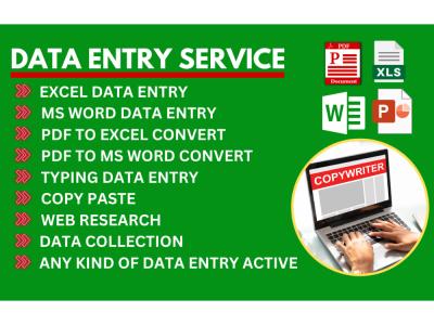 Professional Data Entry Services