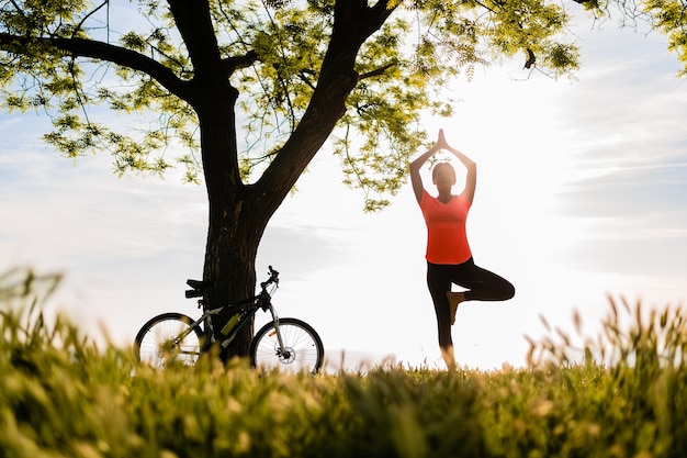 Slim Beautiful Woman Silhouette Practicing Yoga in the Park – Free Stock Photo, Download Free