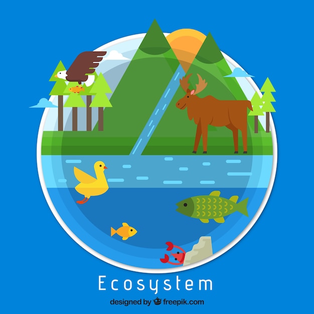 Ecosystem Concept in Flat Style – Free Stock Photo for Download