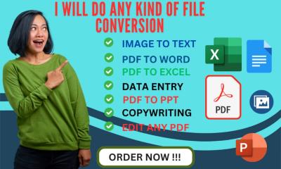 I Will Do Data Entry and File Conversion for Real Estate, Healthcare, and Ecommerce