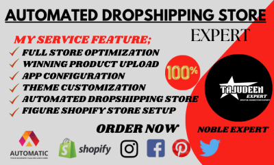 I will create automated shopify dropshipping store shopify website shopify klaviyo