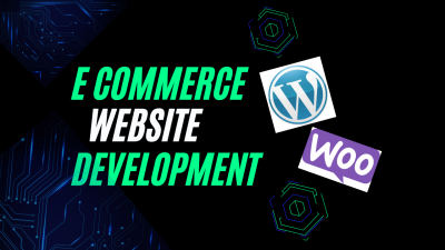 i will build professional ecommerce wordpress website