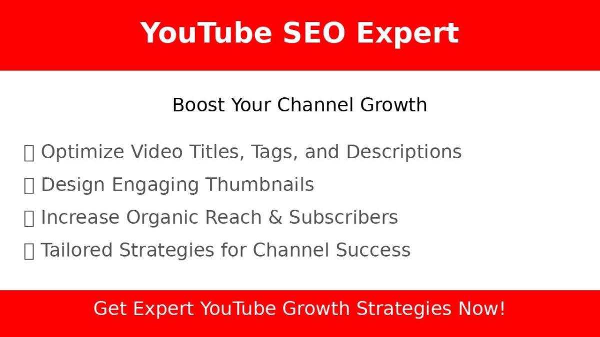 I will be your expert youtube channel manager and video seo expert