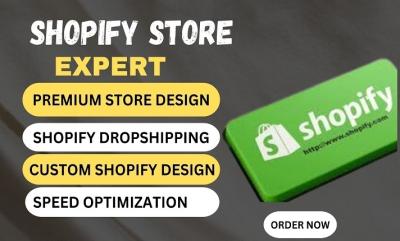 I Will Build Your Shopify Store and Design a Dropshipping Store