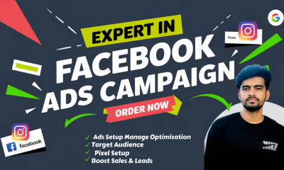 I Will Set Up Facebook and Instagram Ads for Leads and Sales Growth