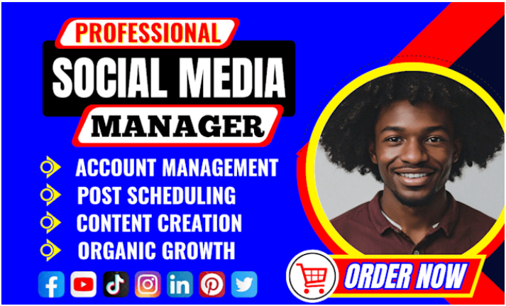 I Will Be Your Instagram Social Media Manager for Promotions, Carousels, and Reels