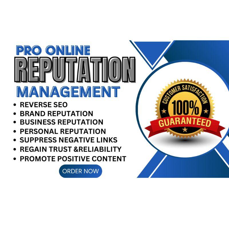 I Will Help You Improve Your Online Reputation Management