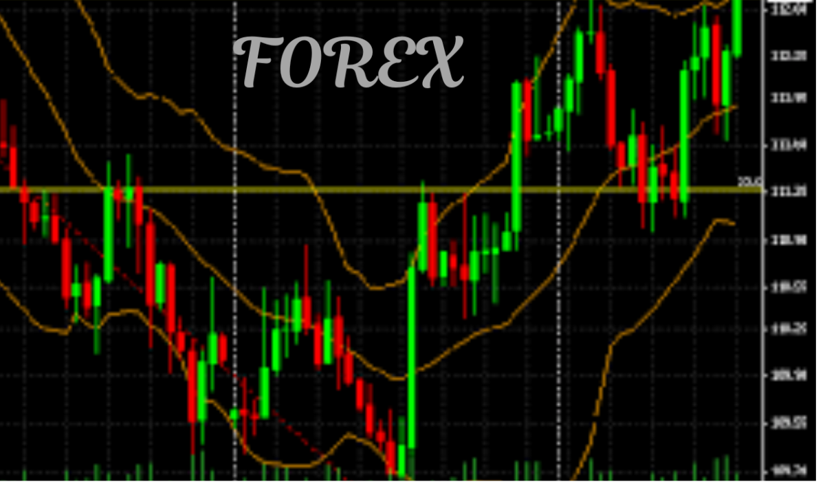 I Will Craft a Customized Forex Broker Website, Cutting-Edge Trading Bot, and Comprehensive Copy Trading Solutions