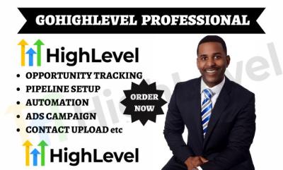 Professional Setup of Go High Level Reporting and Analytics GHL Ads Campaign Dashboard Template