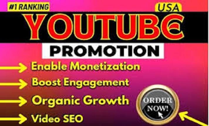 I will usa youtube video promotion USA video channel promotion to USA active audience