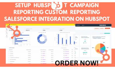 do hubspot campaign reporting custom reporting salesforce integration on hubspot