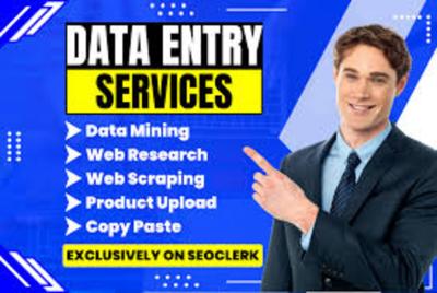 I will do web scraping, data mining, copy paste and excel data entry jobs