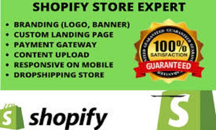 I will boost shopify sales, shopify ecommerce marketing, shopify store promotion