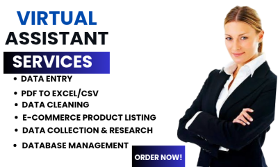 I will be your virtual assistant for data entry, data cleaning, copy paste, research