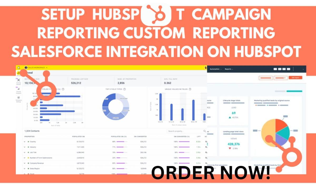 Custom HubSpot Campaign Reporting & Salesforce Integration