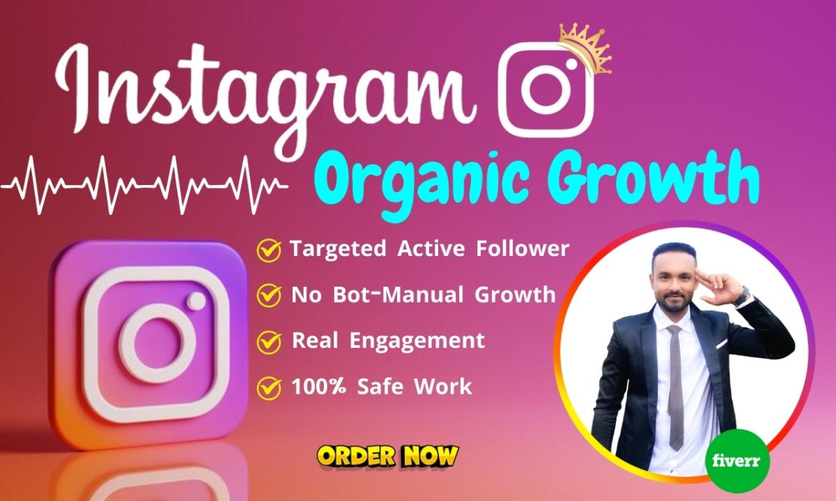 I Will Instagram Organic Growth, Targeted Follower and Engagement