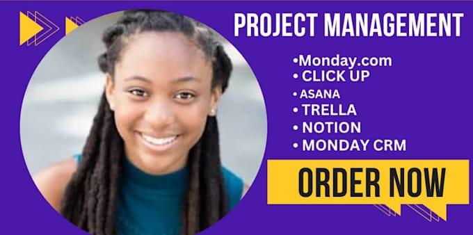 I Will Do Project Management on Monday.com, ClickUp, Asana, Trello, Monday CRM, and Notion