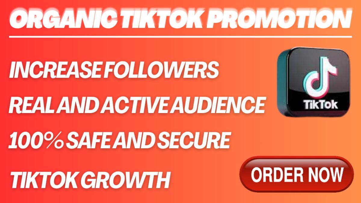 I Will Grow and Promote Your TikTok Account Organically – TikTok Account Management