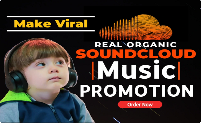 I Will Do Viral Music Promotion on Spotify and SoundCloud