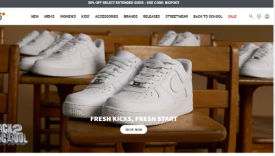 I Will Design Luxury Shoes Shopify Store – Sneakers Shopify Website