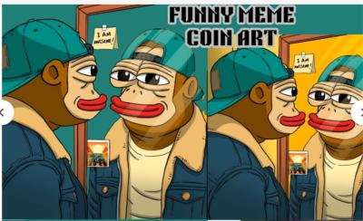 I Will Create Custom Funny 2D Meme Coin Art and Crypto Videos