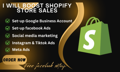 I Will Run an Email Marketing Campaign to Increase Your Shopify Sales