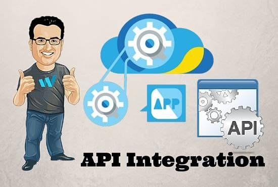 I Will Do API Integration, WordPress API, Inventory API, Portal