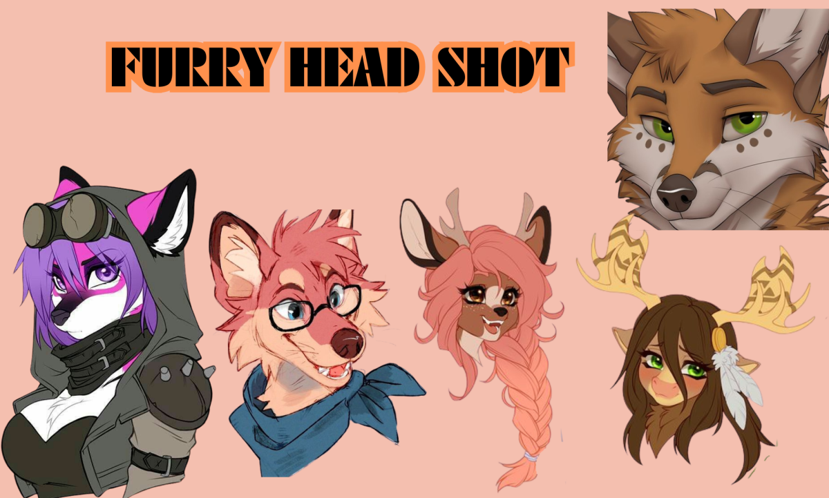 I Will Create NSFW Furry Reference Sheets and Character Design Art for Your OC or Fursona