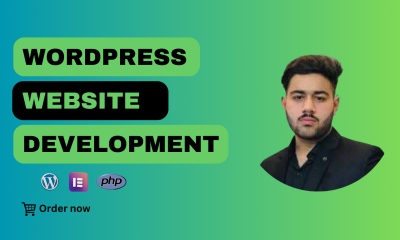 I Will Redesign and Speed Optimize Your WordPress Site