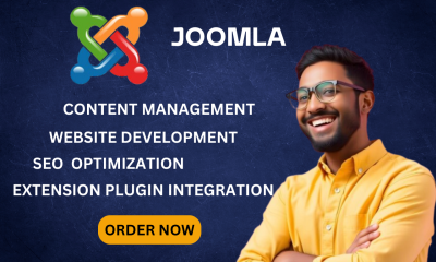 Professional Joomla Development and Customization Services