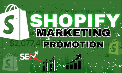 I Will Do Shopify Dropshipping Store SEO and Shopify Store Promotion