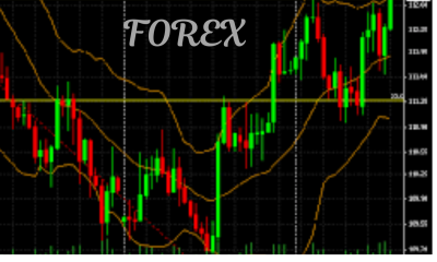 I Will Develop Forex Trading Website, Forex Broker Platform, Forex Broker Website