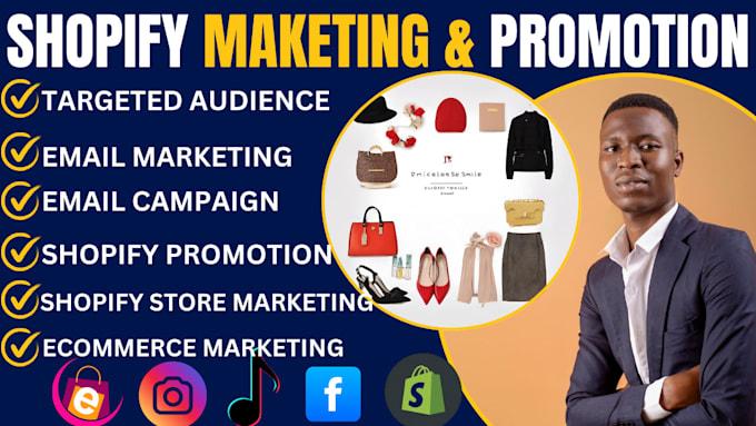 I Will Handle Your Ecommerce Shopify Marketing, SEO, Social Media Promotion, and Facebook Ads Management