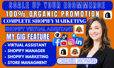 I Will Be Your Shopify Manager for Sales Funnel Optimization and Virtual Assistance