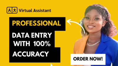 I Will Be Your Virtual Assistant for Data Entry and Research