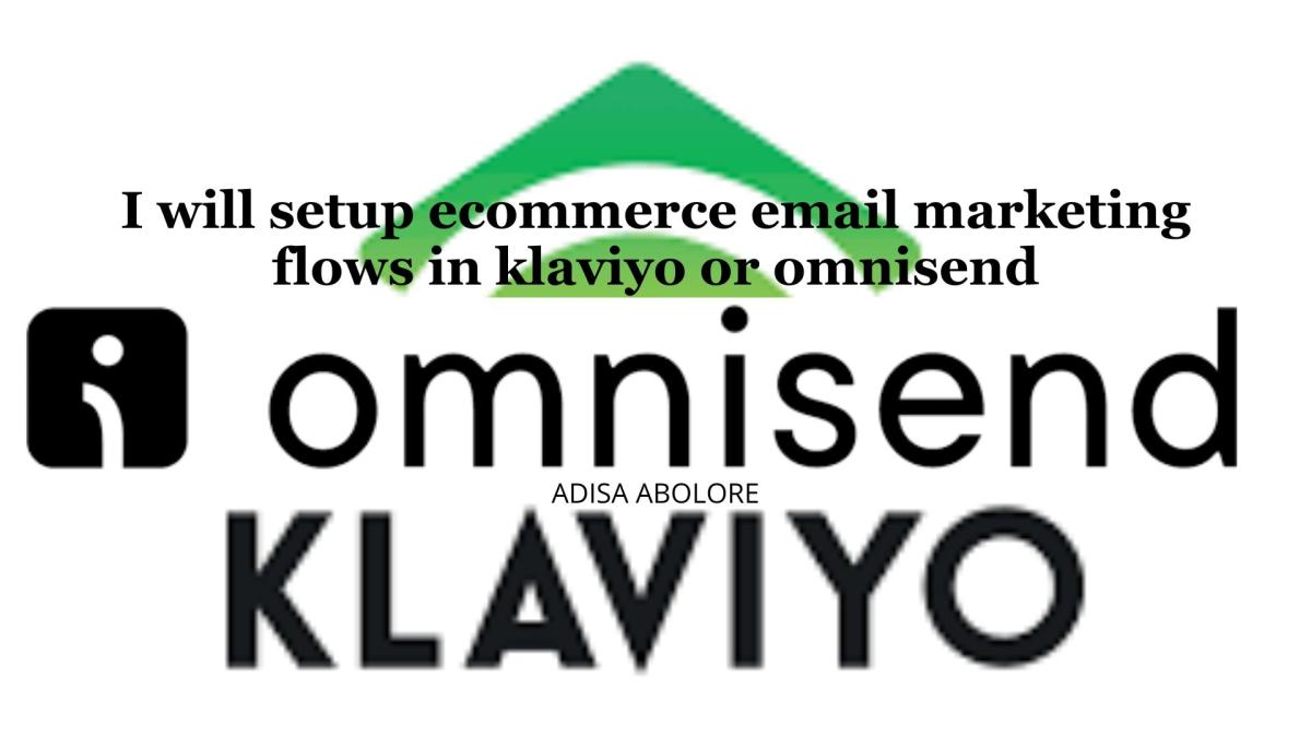 Setup Ecommerce Email Marketing Flows in Klaviyo or Omnisend