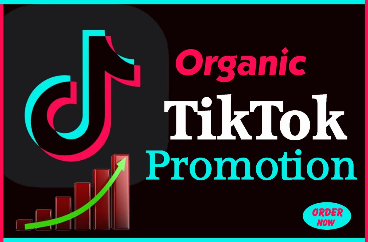 Do Super Fast Organic TikTok Promotion