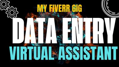 I Will Do Data Entry, Copy Paste, Typing as Your Virtual Assistant