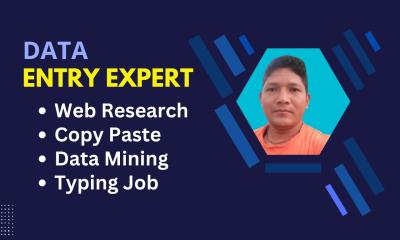 Accurate Data Entry Excel